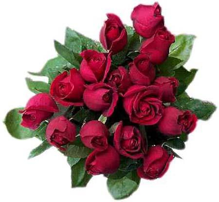 belle rose  manel
